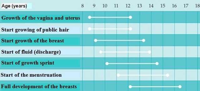 Chart changes in girls